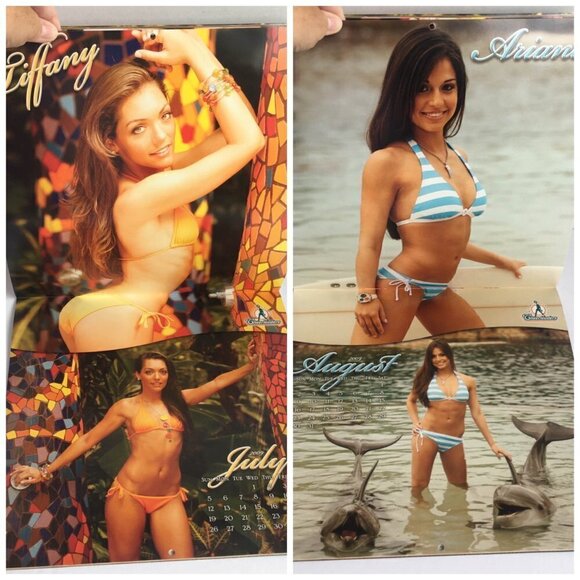 NEW Miami Dolphins Cheerleaders Discovery Cove 2008 2009 Sixteen Month Calendar - Picture 14 of 16